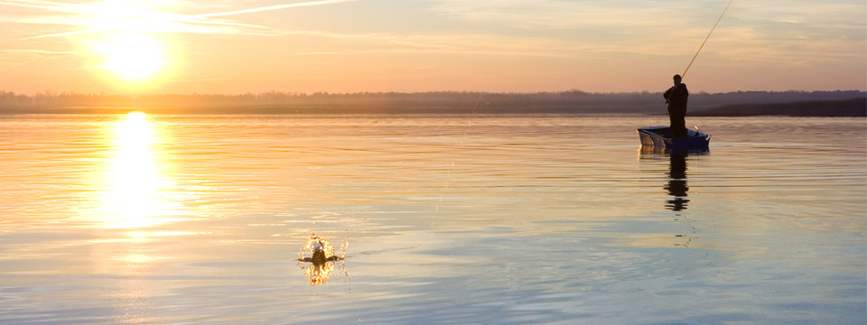 Fishing in Southwest Florida