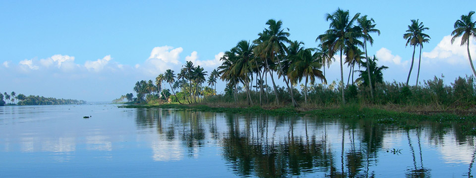 Water View, Southwest Florida